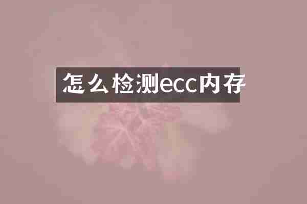 怎么检测ecc内存