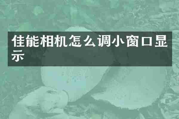佳能相机怎么调小窗口显示