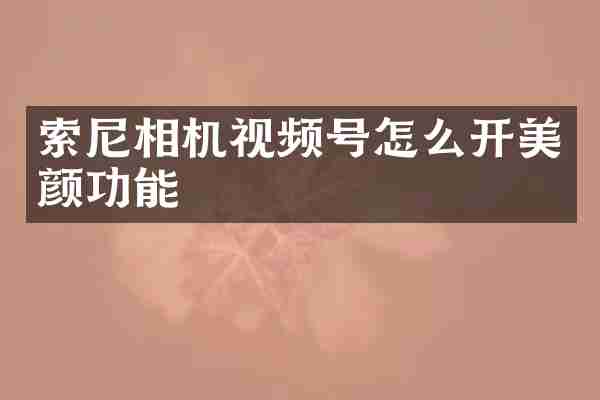 索尼相机视频号怎么开美颜功能