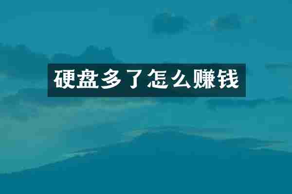 硬盘多了怎么赚钱