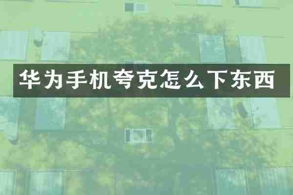 华为手机夸克怎么下东西