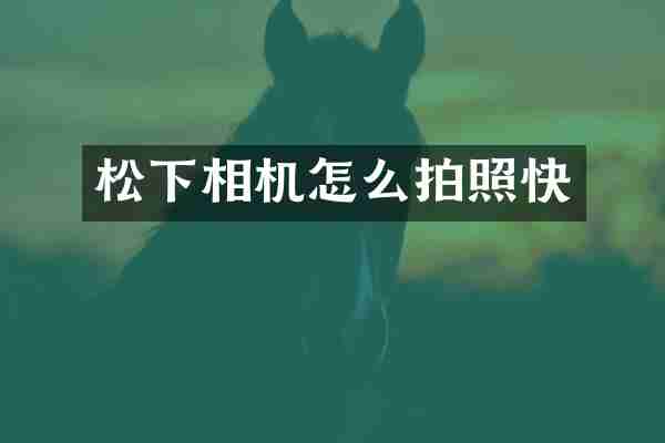 松下相机怎么拍照快
