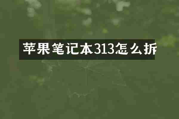 苹果笔记本313怎么拆