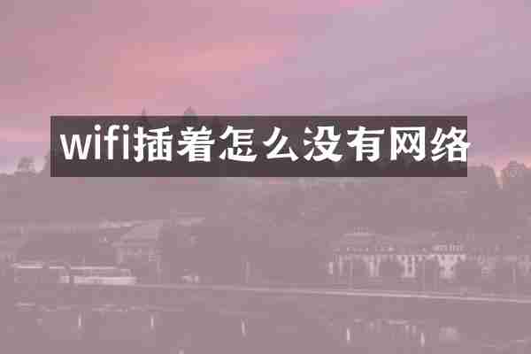 wifi插着怎么没有网络