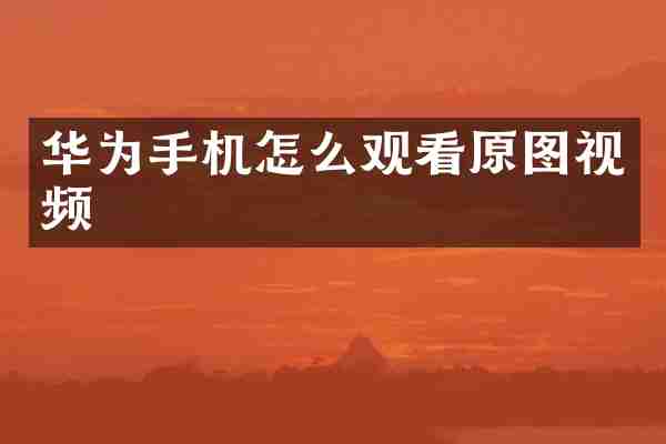 华为手机怎么观看原图视频