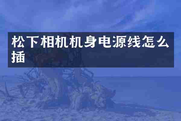 松下相机机身电源线怎么插