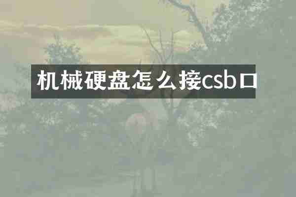 机械硬盘怎么接csb口