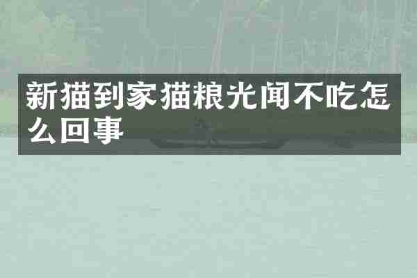 新猫到家猫粮光闻不吃怎么回事