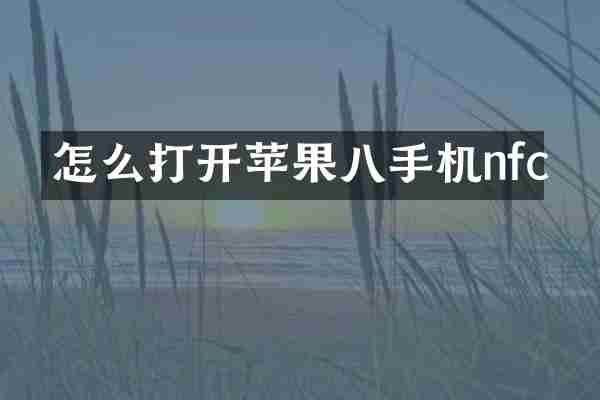 怎么打开苹果八手机nfc