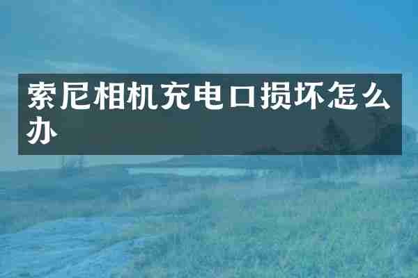 索尼相机充电口损坏怎么办