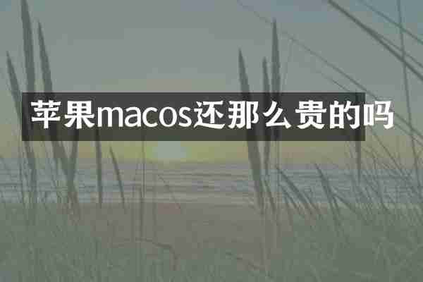 苹果macos还那么贵的吗