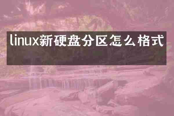 linux新硬盘分区怎么格式化