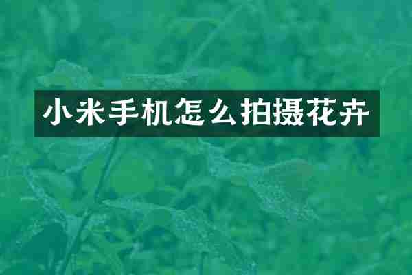 小米手机怎么拍摄花卉