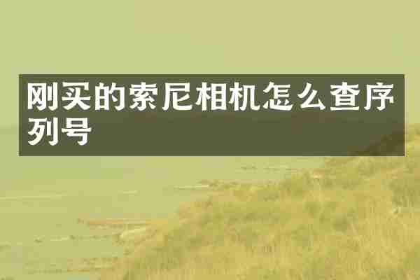 刚买的索尼相机怎么查序列号