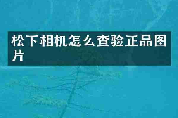 松下相机怎么查验正品图片
