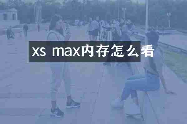 xs max内存怎么看