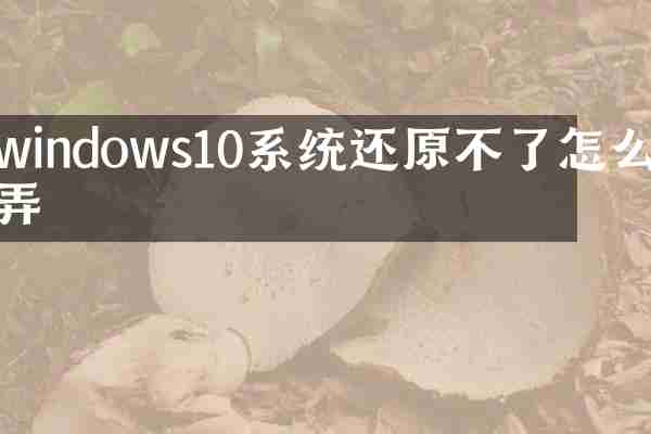 windows10系统还原不了怎么弄