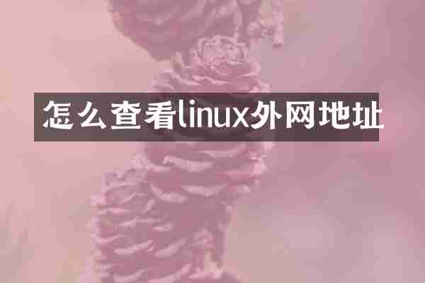 怎么查看linux外网地址
