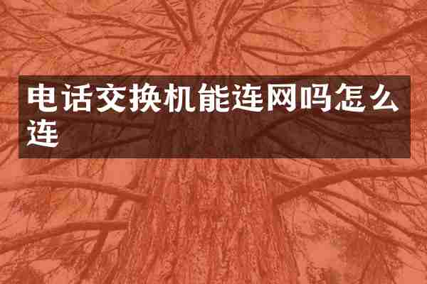 电话交换机能连网吗怎么连