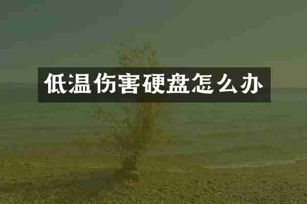 低温伤害硬盘怎么办