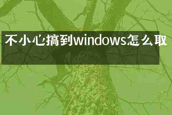 不小心搞到windows怎么取消