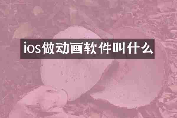 ios做动画软件叫什么