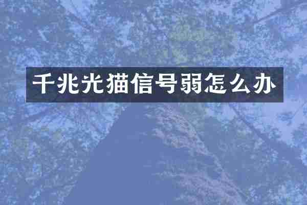 千兆光猫信号弱怎么办