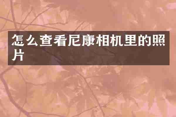 怎么查看尼康相机里的照片