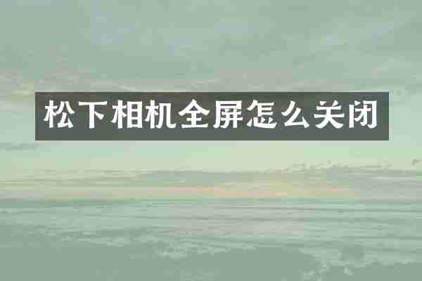 松下相机全屏怎么关闭