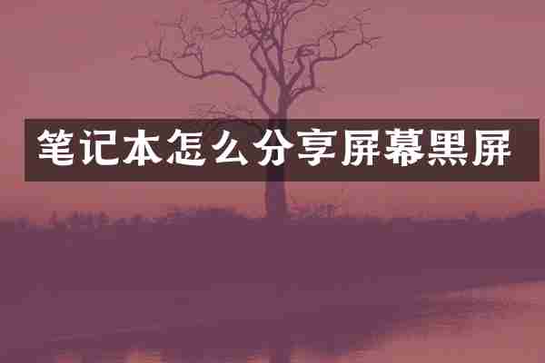 笔记本怎么分享屏幕黑屏
