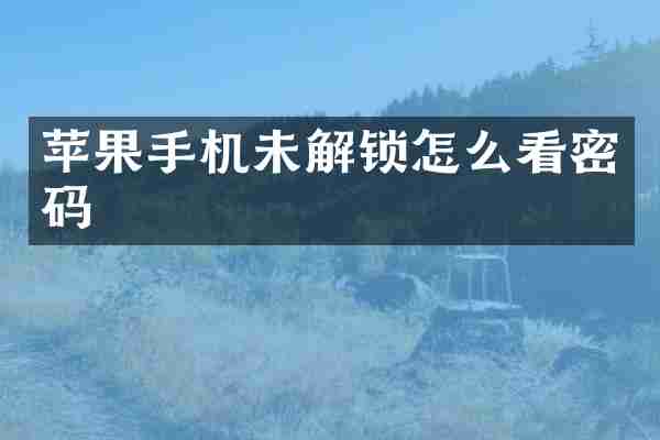 苹果手机未解锁怎么看密码