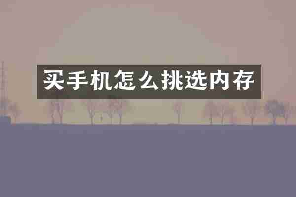 买手机怎么挑选内存