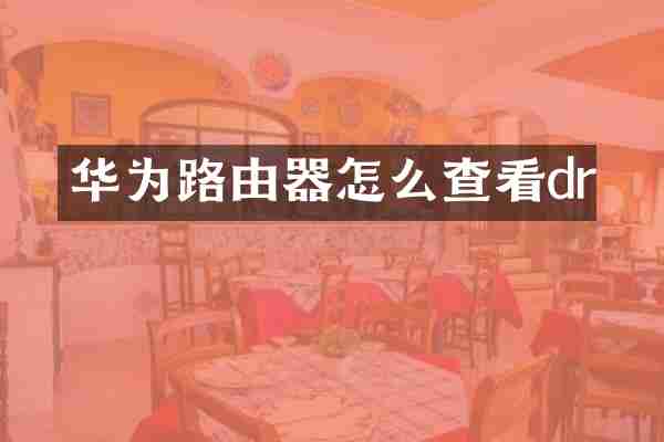 华为路由器怎么查看dr