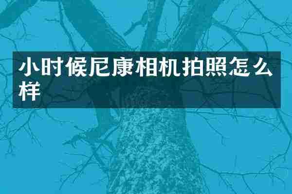 小时候尼康相机拍照怎么样