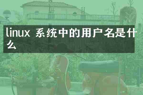 linux 系统中的用户名是什么