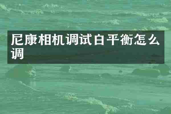 尼康相机调试白平衡怎么调