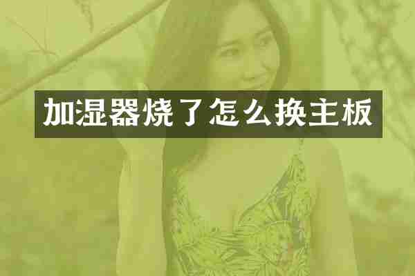 加湿器烧了怎么换主板