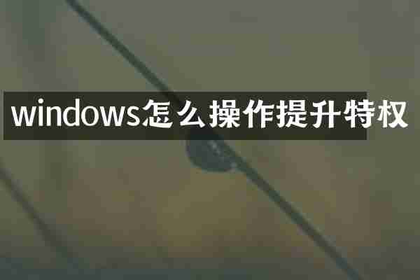 windows怎么操作提升特权