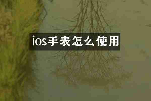 ios手表怎么使用