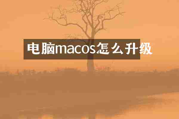 电脑macos怎么升级