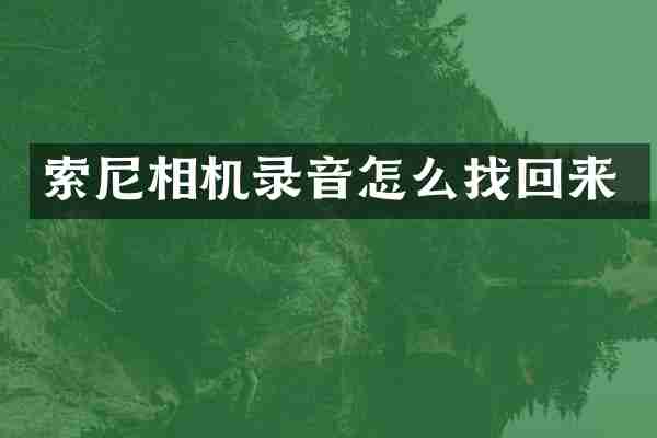 索尼相机录音怎么找回来