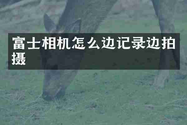 富士相机怎么边记录边拍摄