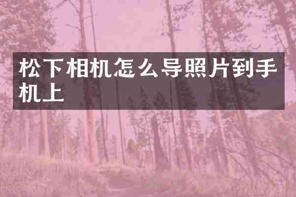 松下相机怎么导照片到手机上