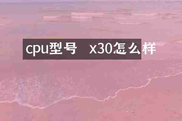 cpu型号  x30怎么样
