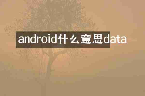 android什么意思data