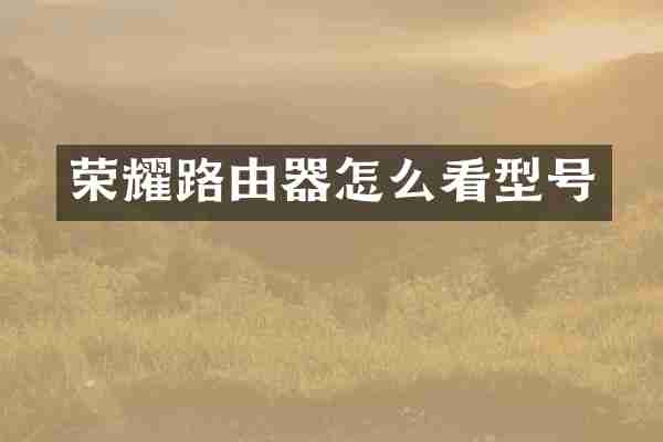 荣耀路由器怎么看型号