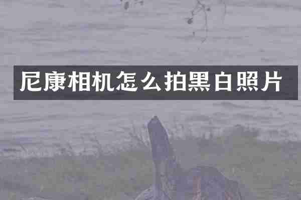 尼康相机怎么拍黑白照片