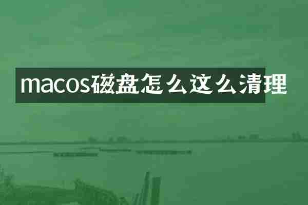 macos磁盘怎么这么清理