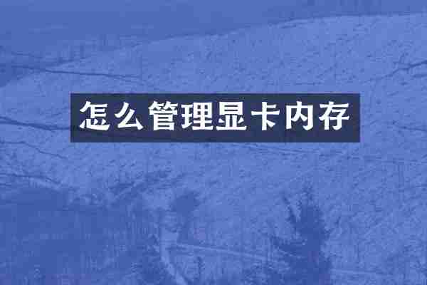 怎么管理显卡内存