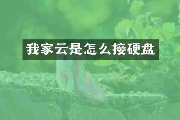 我家云是怎么接硬盘